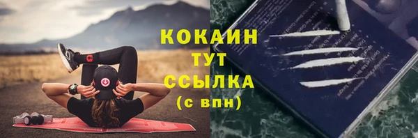spice Гусь-Хрустальный