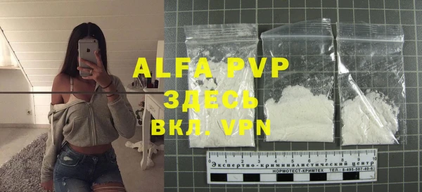 spice Верея