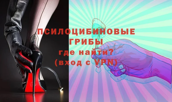 тгк Горняк