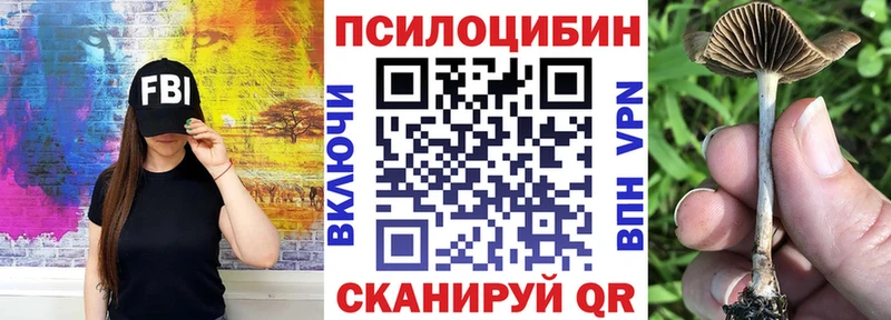Купить  Первомайск  Псилоцибиновые грибы Psilocybine cubensis 